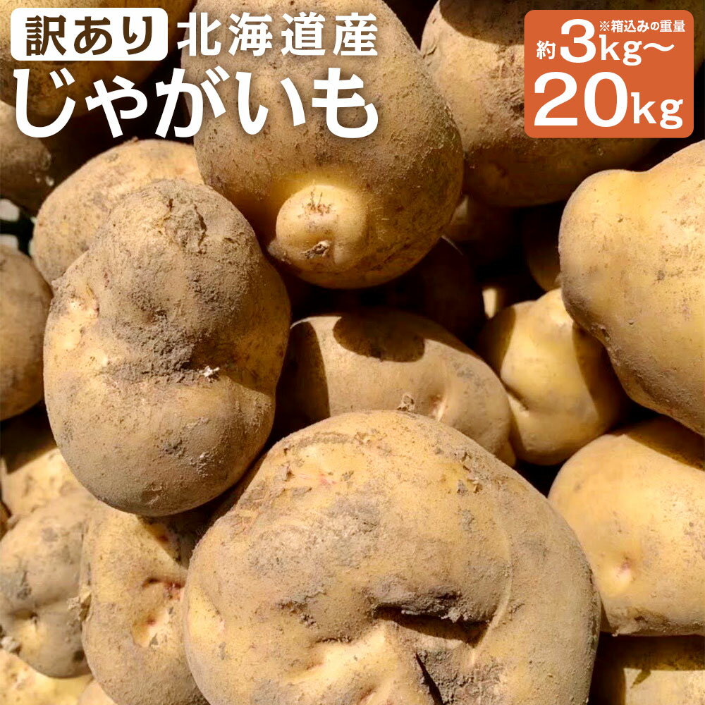 【ふるさと納税】【訳あり】北海道産じゃがいも 男爵/キタアカリ 約3kg / 約5kg / 約10kg / 約20kg ＜ 選べる種類 ・ 選べる内容量 ＞ M～2Lサイズ混載 ご家庭用 山田農場 京極町産 北海道産 国産 送料無料 【2026年9月下旬-2027年1月上旬迄発送予定】
