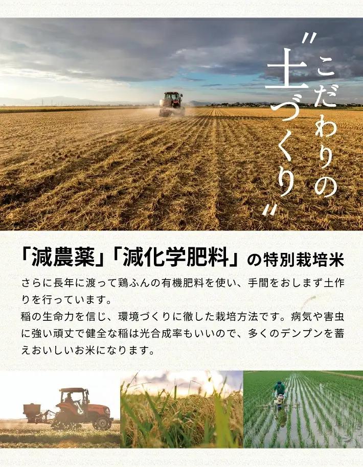 SC0747　11月上旬配送／令和8年産【玄米】つや姫マイスターが作った 特別栽培米『雪若丸』10kg(5kg×2袋)［減農薬・減化学肥料］ MA