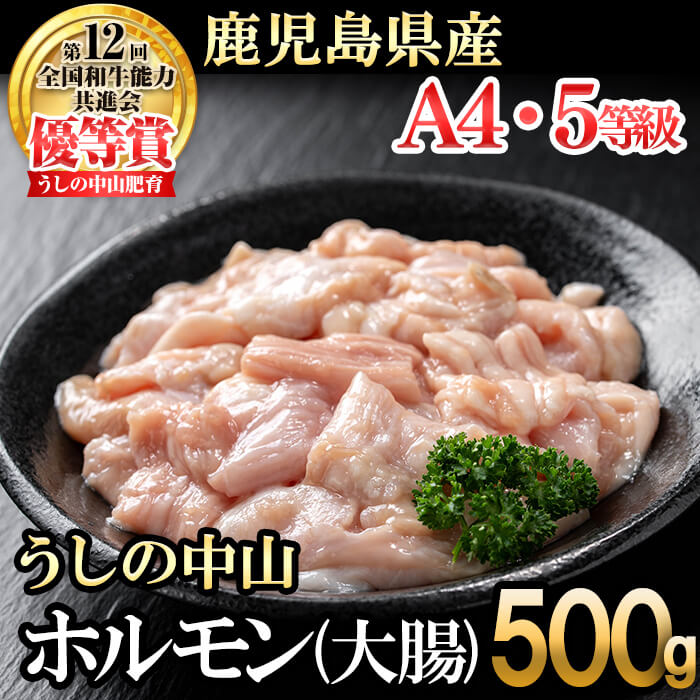 【ふるさと納税】うしの中山 ホルモン(大腸)500g(500g×1袋) 黒毛和牛 和牛 肉 牛肉 国産 九州産 鹿児島県産 ホルモン 焼肉 日本一【nixy CHUZAN】 p9-028
