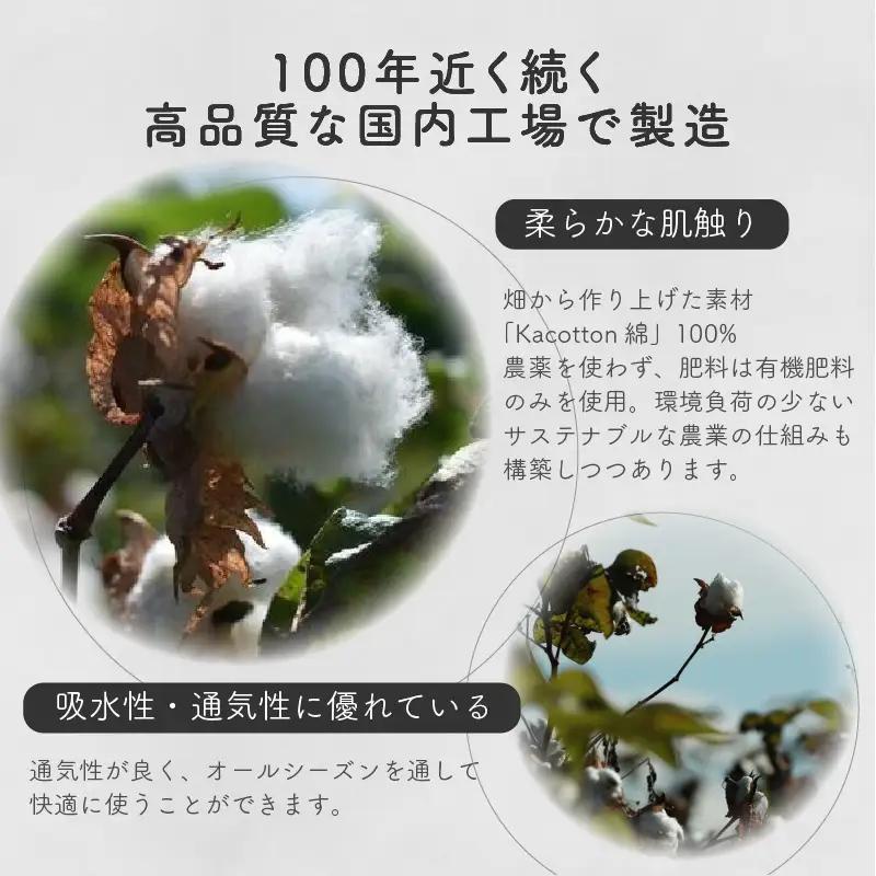 かこっとんクルーソックス(3サイズ5色カラバリ展開)【よりどり2足】【2402T05301】