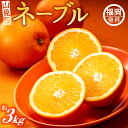 【ふるさと納税】ネーブル（3キロ程度）／2024年12月～2025年1月配送 ネーブルオレンジ 柑橘 フルーツ 旬 季節 果物.AA077