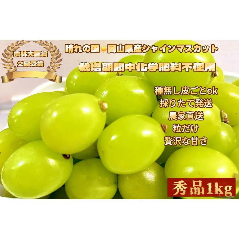 ぶどう2026年  シャインマスカット 秀品 粒だけ 約1kg  家庭用  農林大臣賞2回受賞  岡山 果物 フルーツ  採りたて発送 農家直送 数量限定 新鮮  2026年6月下旬から発送