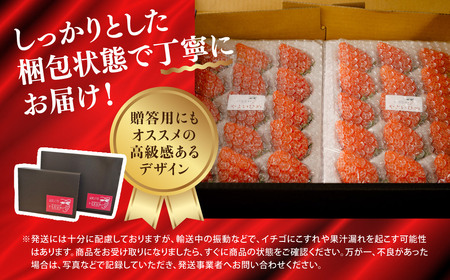 いちご やよいひめ400g×2 3箱 計2,400g 2027年 先行予約｜いちご 群馬県 前橋市