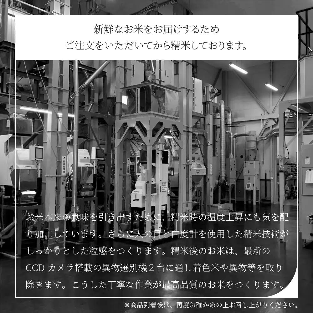 【7月中旬発送】つや姫 10kg 令和7年産 山形県産 無洗米 ob-tsxxx10-m7b
