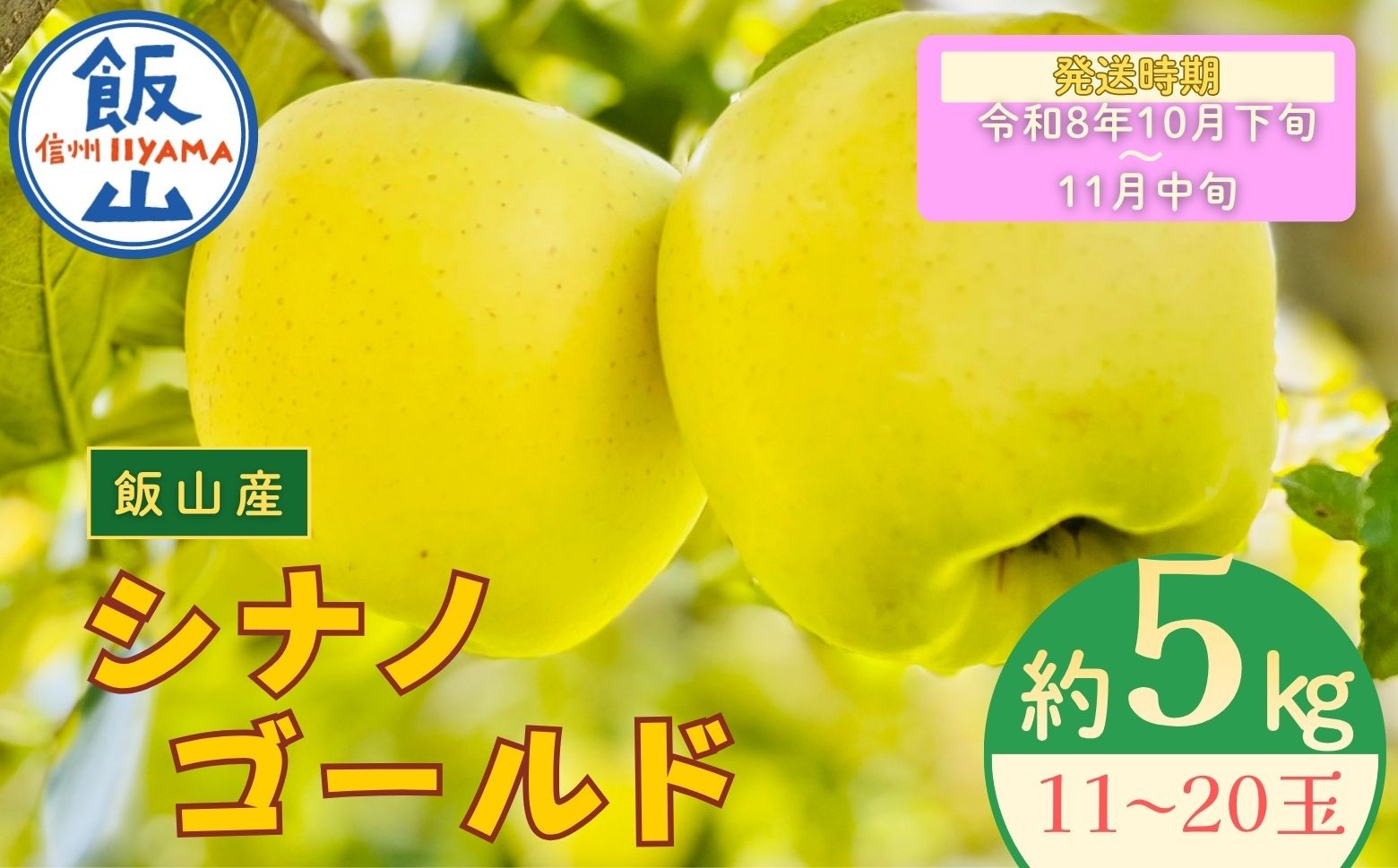 
                  【先行予約丨2026年10月下旬より順次発送】シナノゴールド【約5kg (11〜20玉)】(At-015)丨長野県 飯山市 おすすめ ランキング おいしい 高評価 大人気 先取り 産地直送 りんご
                