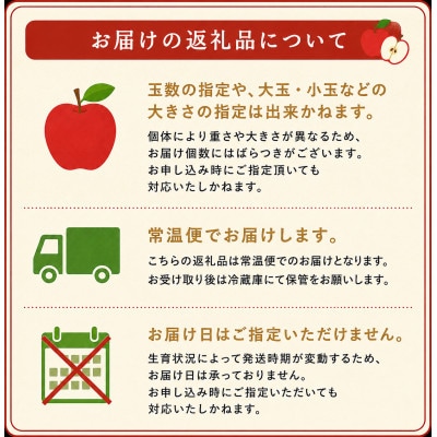 旬の品種お任せ【訳アリ】茅野市産りんご3kg(8～10玉)【配送不可地域：離島・沖縄県】