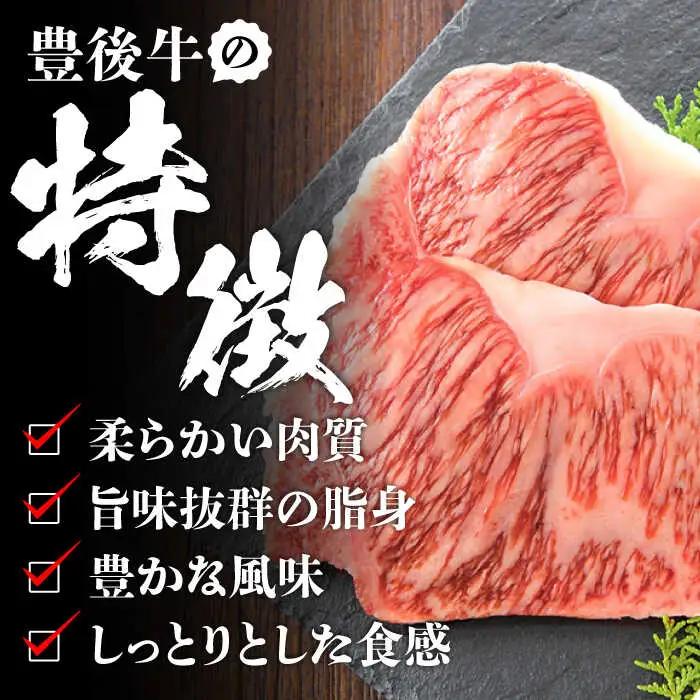 【全12回定期便】おおいた豊後牛 サーロインステーキ 500g (250g×2枚) サーロインステーキ [AREI058]