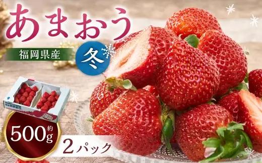 福岡産【冬】あまおう2パック いちご 苺 イチゴ 果物 くだもの フルーツ 冷蔵 【2026年12月上旬～2026年1月下旬発送予定】