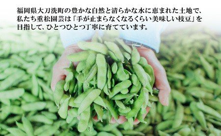 枝豆 【2027年6月発送】枝豆200g×20袋 合計4kg 福岡県大刀洗町産 豆 えだまめ 焼き枝豆 お弁当 おつまみ ※配送不可:北海道・沖縄・離島