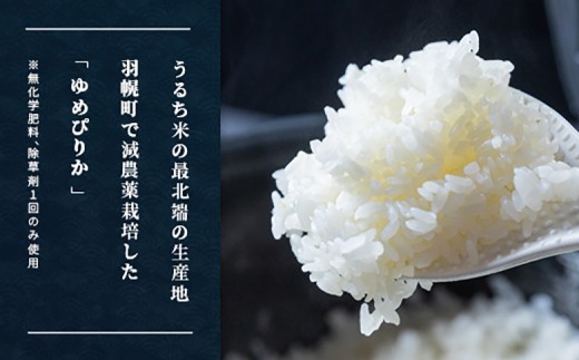 【2026年産新米】★先行予約★北海道産 特別栽培米 ゆめぴりか 5kg  （無化学肥料、除草剤一回だけで栽培した体に優しいお米） | お米 米 白米 精米 無化学肥料 除草剤1回 安心 安全 北海道