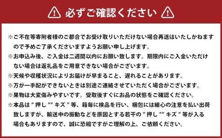 シャインマスカット 晴王 2房 （1房480g以上） 化粧箱入り 【2026年8月下旬～11月上旬迄発送予定】／ マスカット 葡萄 ぶどう 果物 果実 フルーツ 種なし 皮ごと 大粒 岡山県 美咲町 