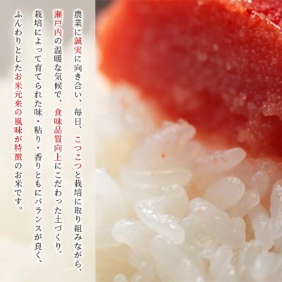 ふるさと納税 赤磐市 お米 【2025年11月〜発送予定】 特別栽培米 きぬむすめ 8kg[NO5765-1408] |  | 01