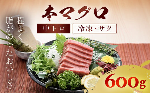 
本マグロ 中トロ 600g ふるさと納税 マグロ トロ 中トロ 魚 刺身 冷凍 天然 千葉県 茂原市 MBT002
