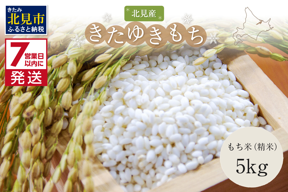 《7営業日以内に発送》令和7年産 北海道産きたゆきもち 精白米 5kg ( 米 お米 モチ米 もち米 赤飯 ぼたもち おはぎ おこわ 美味しい 北海道 )【080-0095】