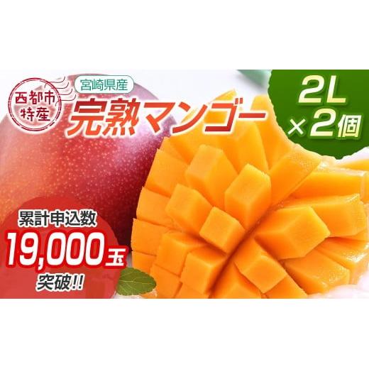 2026年発送【数量限定】宮崎県西都市産完熟マンゴー2L×2個【先行予約】＜1.2-39＞