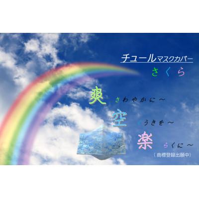 ふるさと納税 那珂川市 【爽 空 楽　さ く ら】チュールマスクカバー1枚と高性能フィルター5枚入り×2セット