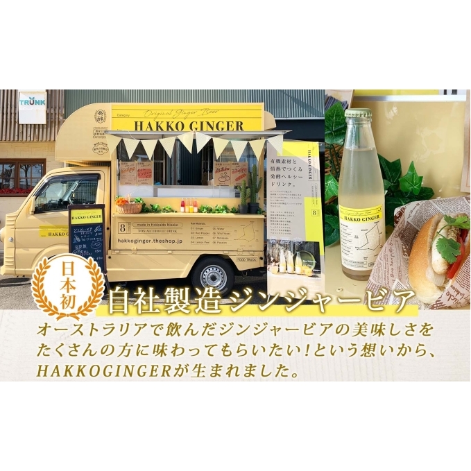 北海道 自家製 ジンジャービア 200ml×6本 HAKKO GINGER 発酵 ジンジャー ビール 生姜 レモン 辛口 ノンアルコール 炭酸 ヘルシー 野菜飲料 野菜ジュース 飲料類 炭酸飲料 _イ