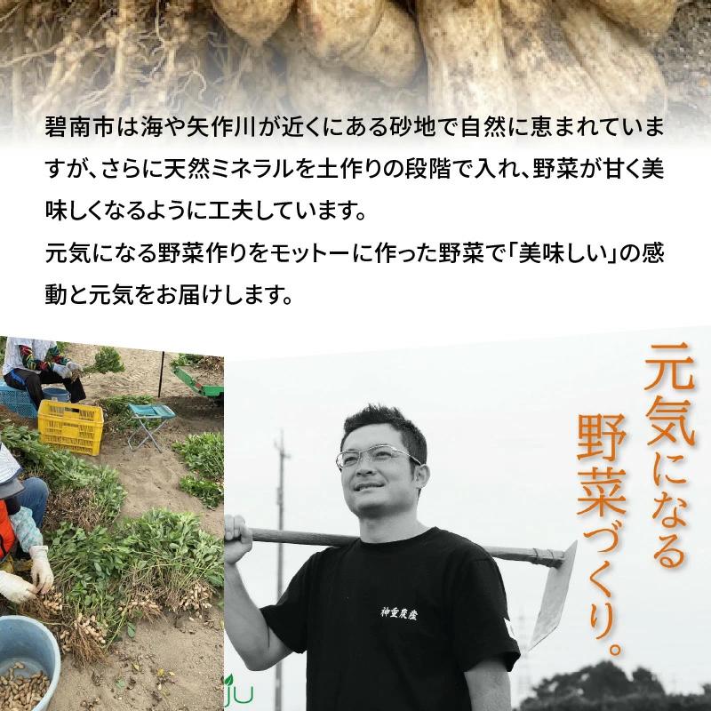 【2026年発送】事前予約 やみつき極うま “金の生落花生” 1kg(500g×2袋) 生ピーナッツ 塩ゆで専用　H105-141