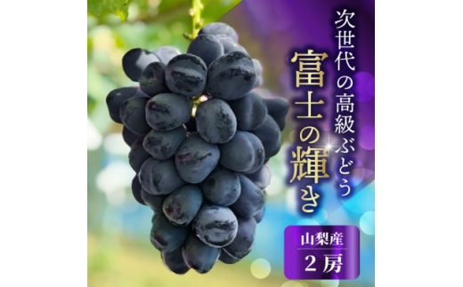 山梨市産 富士の輝き 大粒で高糖度の黒ぶどう 贈答用2房 化粧箱入り【1724543】