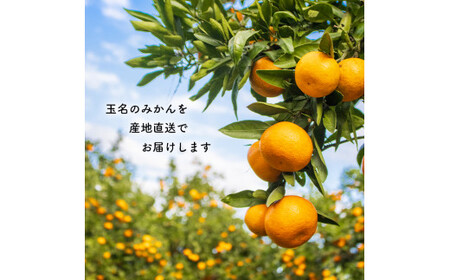 たまな産　温州みかん 6kg