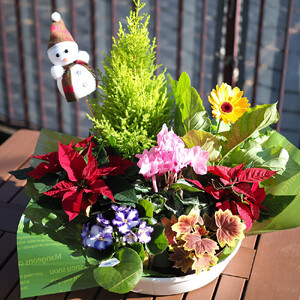 【定期便】【全6回定期便】1年中季節のお花が楽しめる！旬のお花盛り合わせ（2か月に1回お届け）【11100-0735】