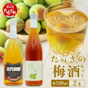 【ふるさと納税】たらぎの 梅酒 セット 720ml × 2本 ≪古代梅酒≫≪ 梅酒文蔵≫ 球磨焼酎 多良木町 米 焼酎 梅 うめ酒 お酒 球磨 贈り物 ギフト 熊本県 多良木町 送料無料