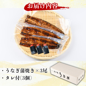 国産！うなぎ蒲焼き(3尾・タレ付き) 国産 九州産 鹿児島県 宮崎県 鰻 ウナギ unagi うな重 うな丼 ひつまぶし うなじゅう 蒲焼 かばやき 無頭 魚 魚介類 土用 丑の日 タレ タレ付 おか