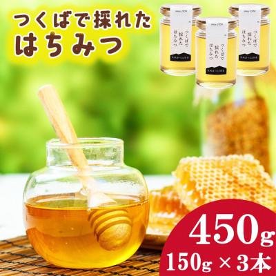 ふるさと納税 つくば市 つくばで採れたはちみつ150g×3本詰合せ 茨城県 つくば市産