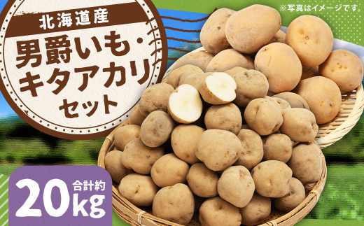 じゃがいも 男爵 キタアカリ Lサイズ 各約10kg×1箱 計約20kg （JA） ジャガイモ 芋 いも イモ 食べ比べ 食べくらべ セット 国産 【2026年9月下旬～12月下旬迄発送予定】