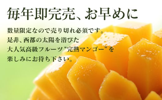 【数量限定】宮崎西都産完熟マンゴー2L×3個　酒井農園《産地直送》【先行予約】2025年発送＜1.6-2＞果物 くだもの フルーツ 宮崎県西都市