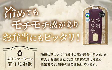 【先行予約】【令和7年産】化学肥料不使用 特別栽培米 ふくむすめ 精米 10kg × 1袋 / 白米 米 福井県あわら市産 美味しい 特別栽培米 減農薬 安心な米 旨味 甘み もっちり 冷蔵保管米 ※
