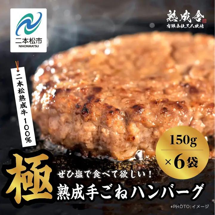熟成牛 手ごねハンバーグ 900g（150g×6袋）ハンバーグ 国産 牛肉