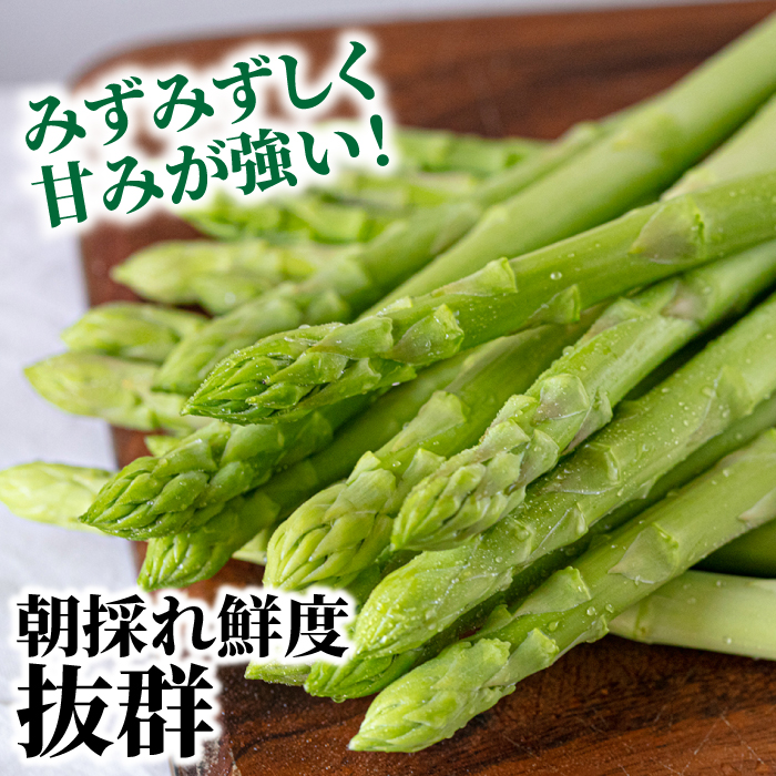 【3回定期便】【星のアスパラ】春・夏 の グリーン アスパラガス 約1kg / アスパラ 野菜 / 南島原市 / ほしのYA [SEY016]_イメージ5