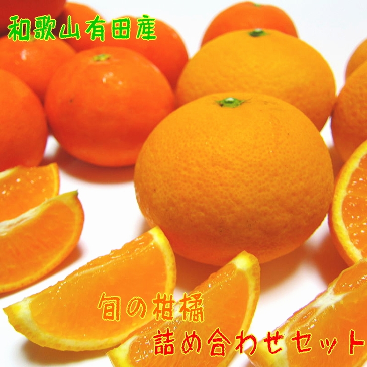 【先行予約】旬の柑橘詰め合わせセット（ご家庭用）約10kg ｜ フルーツ ふるーつ 果物 くだもの 詰め合わせ オレンジ みかん レモン 国産 産地直送 美浜町 ※2026年1月中旬～4月下旬頃に順次発送予定 ※北海道・沖縄・離島への配送不可