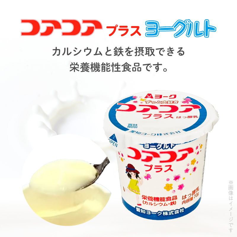 【6ヶ月定期便】愛知ヨーク　コアコアプラスヨーグルト　20個入