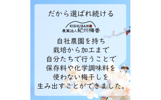 訳あり 無添加 梅干し 紀州梅香の減塩3%つぶれ梅 約1kg(500g x 2) 中～大粒 はねだし梅 紀州南高梅 産直) 3-G