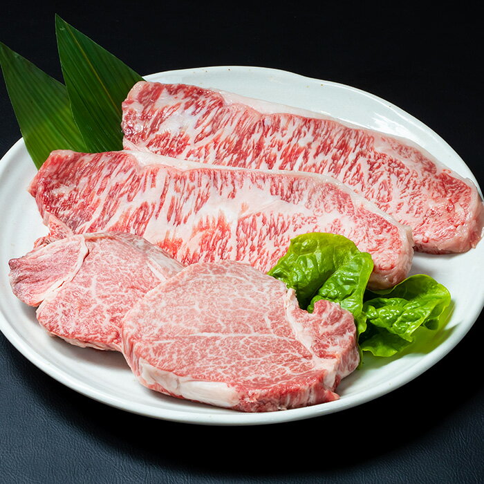 【ふるさと納税】おおいた和牛 ロース ヒレ ステーキ セット (合計700g・ロース200g×2枚・ヒレ150g×2枚)ステーキ 国産 4等級 冷凍 和牛 牛肉 詰め合わせ 大分県 佐伯市【opae012】【ミートクレスト】