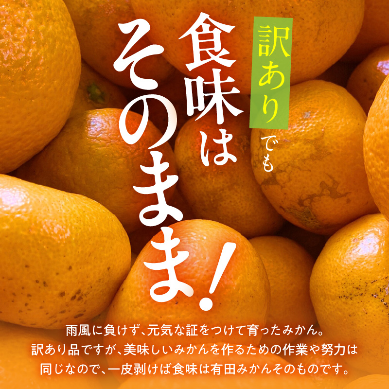 MK1035_【2025年先行予約】訳あり それでも みかん 箱込 5kg ( 内容量 4.4kg ) サイズミックス Ｂ品 有田みかん 和歌山県産 産地直送 家庭用【みかんの会】