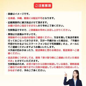 岡山冬桃がたり6～9玉（計約1.3ｋｇ）化粧箱入