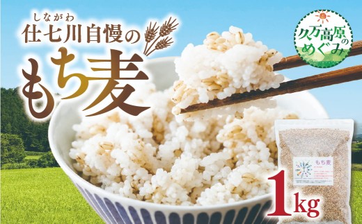 【先行予約】久万高原町 仕七川自慢 もち麦 1kg ｜ 雑穀 健康志向 腸活 食物繊維 ダイエット お取り寄せ 自然 愛媛県 仕七川地区の清流 ※2026年7月中旬頃より順次発送予定