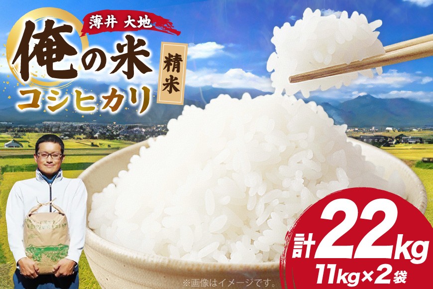 
                  【俺の米】 米 令和8年 コシヒカリ 精米 11kg 2袋 計 22kg [薄井 大地 長野県 池田町 48110783] お米 おこめ こめ コメ 白米 ご飯 ごはん おにぎり こしひかり 美味しい もっちり 甘い 農家 直送 10キロ 20キロ 以上 令和8年産 先行予約 新米
                
