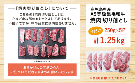 【鹿児島県産】A5等級黒毛和牛 焼肉 切り落とし 計1kg（250g×4P） 国産牛 牛肉 国産 焼き肉 カミチク 切落し おまかせ BBQ バーベキュー 小分けパック 冷凍