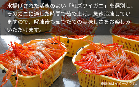 【先行予約】【12月発送】【数量・期間限定】福井県産 越前 紅ズワイガニ ×2杯【急速冷凍】(プロトン凍結)