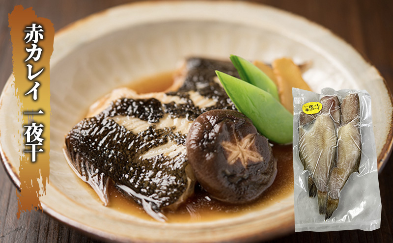 枝幸の四季 3種のカレイ一夜干（宗八カレイ×8・赤カレイ×6～8・ナメタカレイ×4）【 魚貝類 干物 カレイ 北海道 オホーツク 枝幸 】