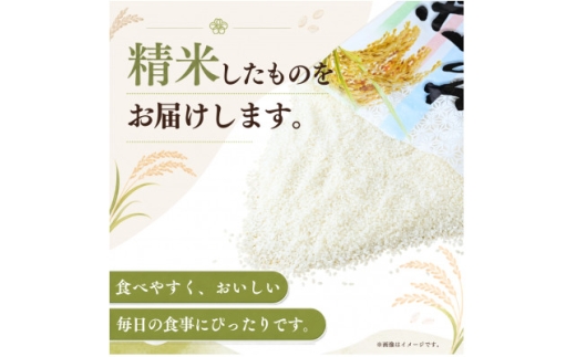 ＜毎月定期便＞お米屋さんのコシヒカリ 精米 5kg(1袋) 全6回【4094328】