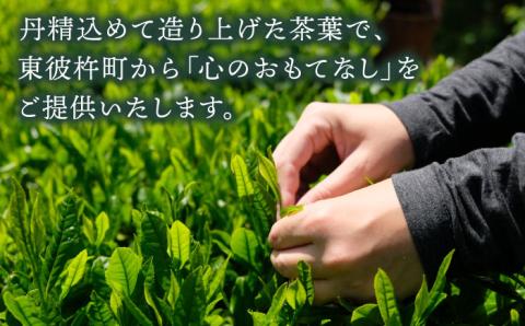 【2024新茶】そのぎ茶 (特撰) 100g×3袋入り 東彼杵町/西海園 [BAP006] 茶 新茶 お茶 新茶 緑茶 新茶 日本茶 新茶 玉緑茶 新茶 茶 新茶 お茶 新茶 緑茶 新茶 日本茶 新茶