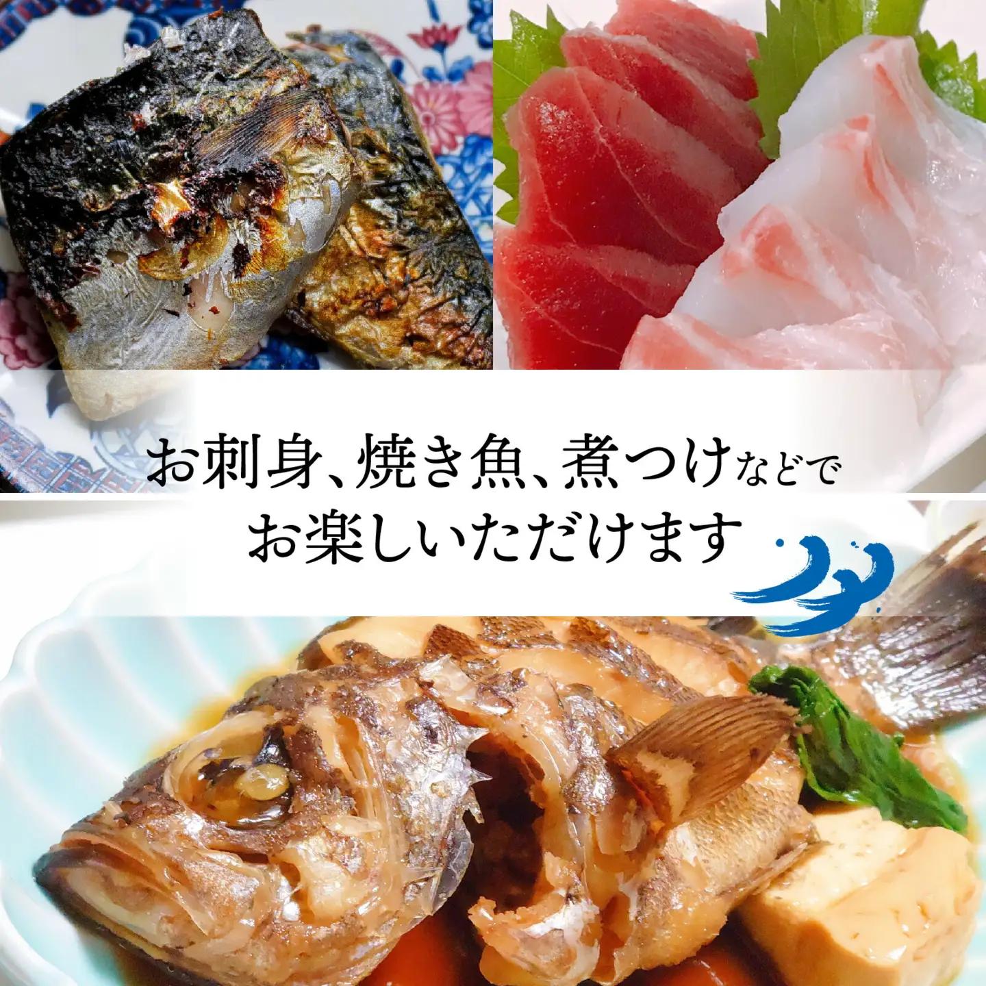 御食の国 若狭小浜より！獲れたて鮮魚BOX｜4から5kg 4から7種【配送不可地域：北海道、北東北（秋田、青森、岩手）、九州、沖縄、離島】 [BFAA060] 