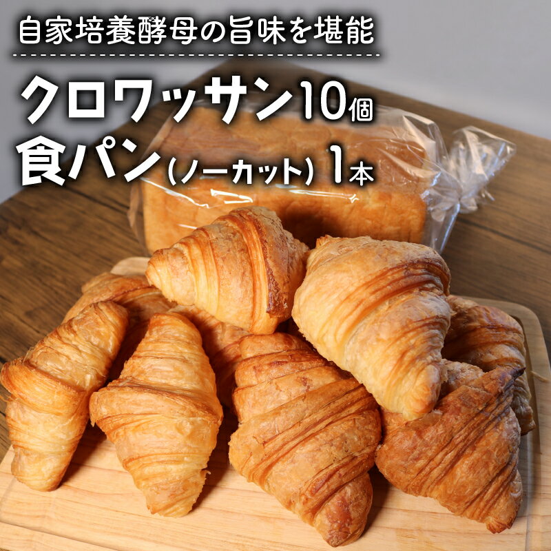 【ふるさと納税】 酵母クロワッサン10個 ＋ 酵母食パン1本 ノーカット パンセット ( パン 惣菜パン 冷凍パン 天然酵母 冷凍 詰め合わせ 小麦 朝食 朝ごはん お取り寄せ 食べ比べ 京都 国産 )