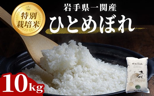 令和7年産 特別栽培 ひとめぼれ 10kg 清流が育んだお米 げいび清流米 岩手 お米 いわて コメ 精米 ブランド米 ご飯 白飯 ごはん お弁当 おにぎり 袋 東北 国産 岩手県 一関市