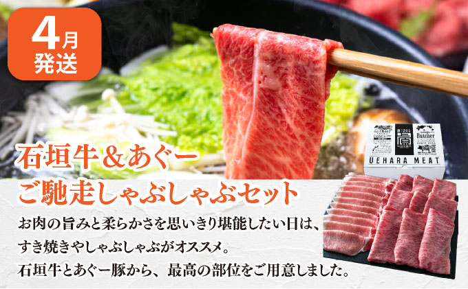 とみぐすくpremium定期便 TE014